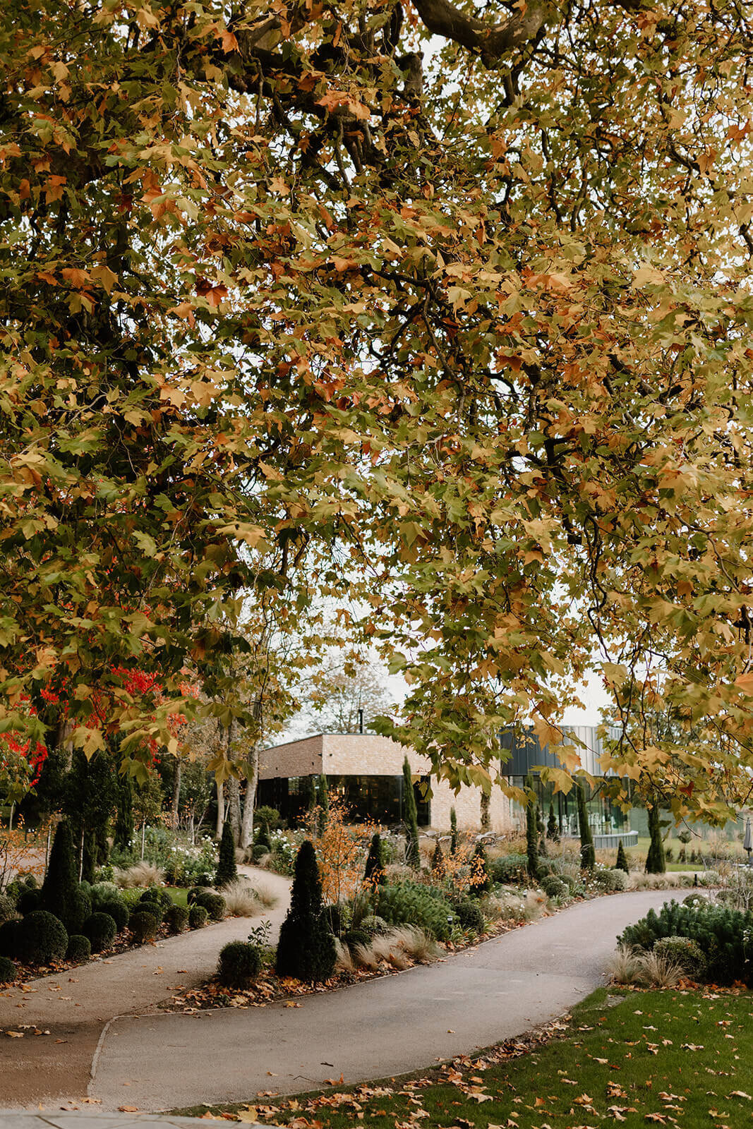 Issy-and-Bella-Floral-Design-Wedding-Florist-Herefordshire-Sant-Ffraed-House15