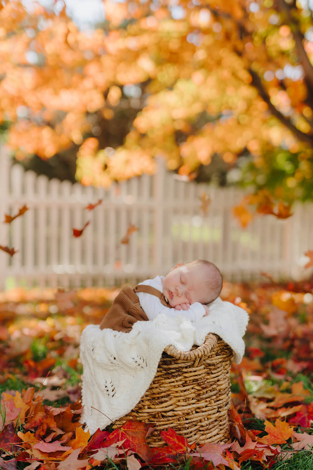 Baby asleep in on a blanket in a wicker basket at newborn photoshoot at Finger Lakes, NY