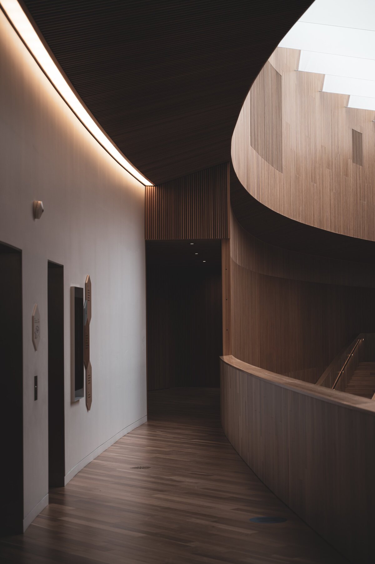 Modern curved hallway with dark wood finish