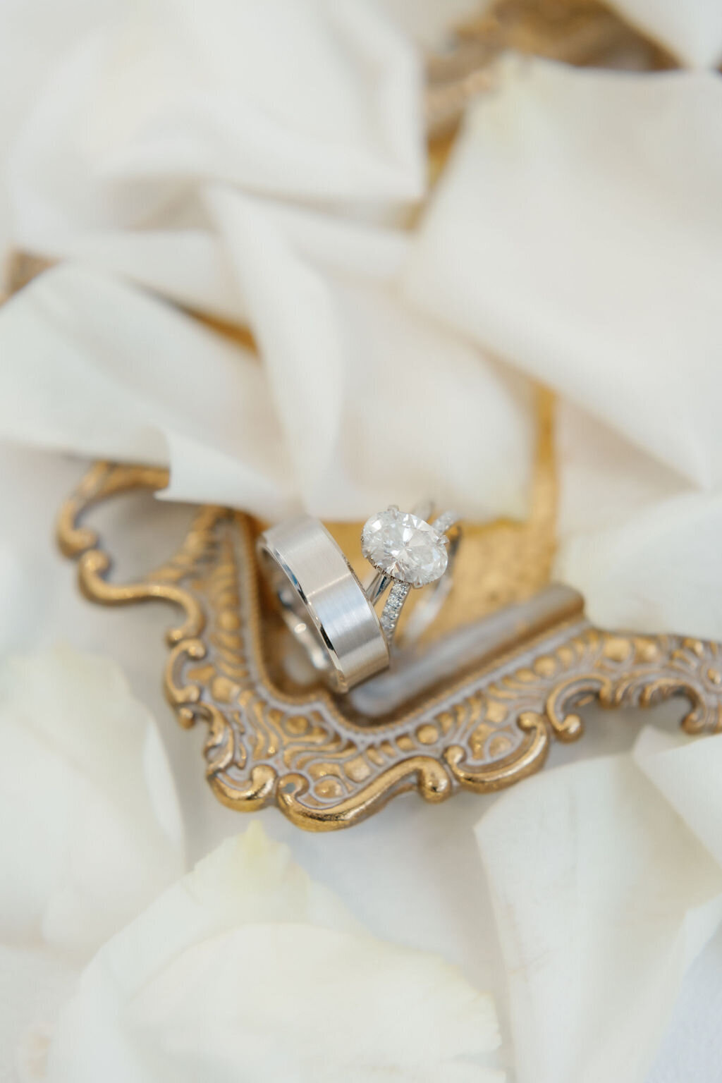 Arrowhead-Hill-Wedding-Michelle-Ben-Sonia-Alexandria-Photography-117
