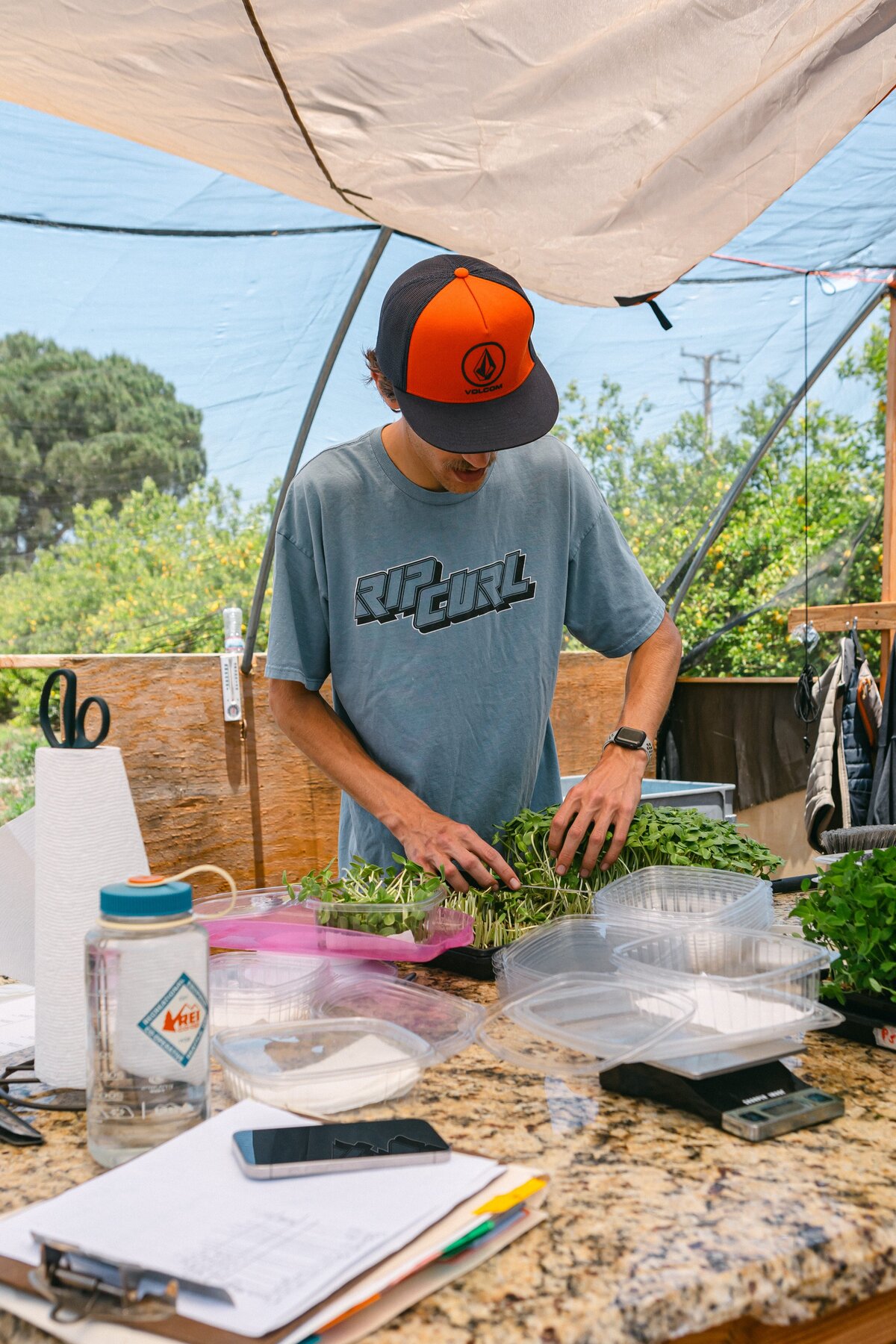 Channel-Islands-Micro-Greens-Local-Farmers-Markets-0045