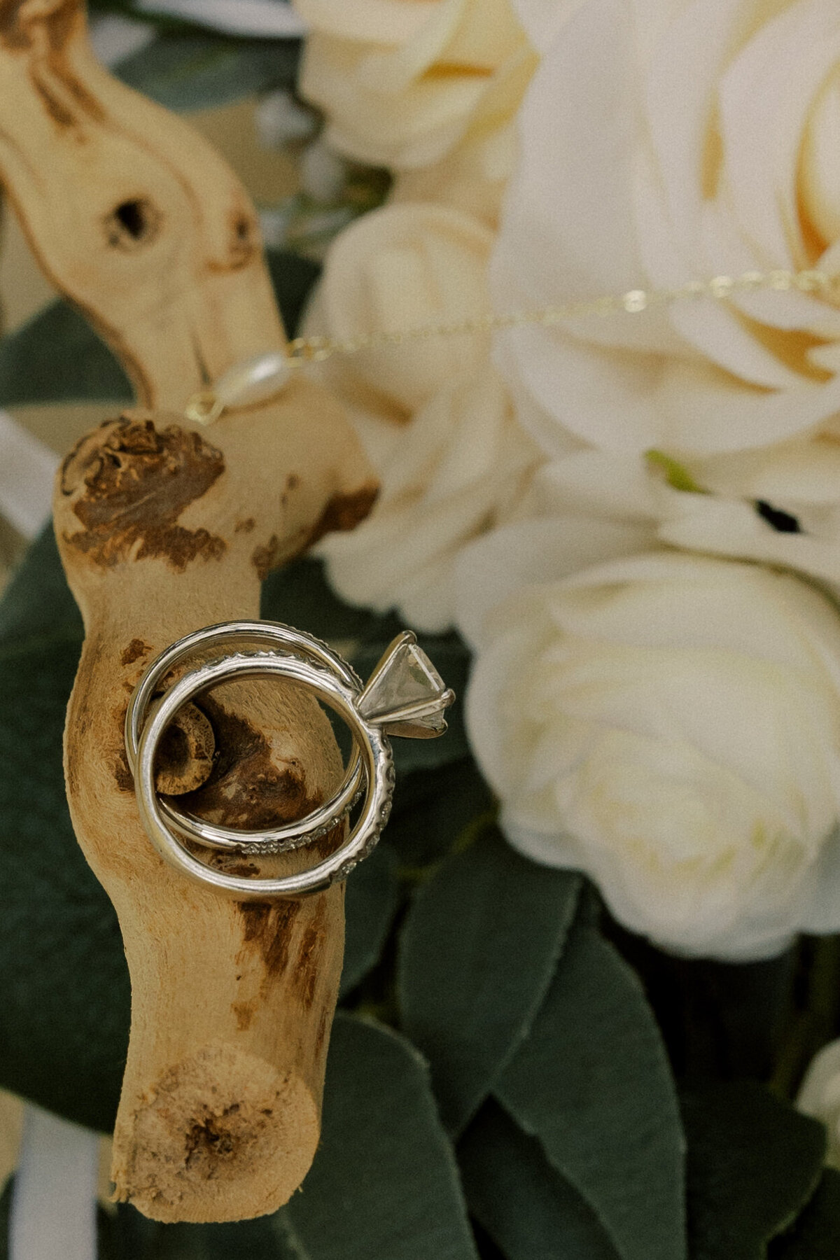 The Cagles - Payton Hartsell Photography-24