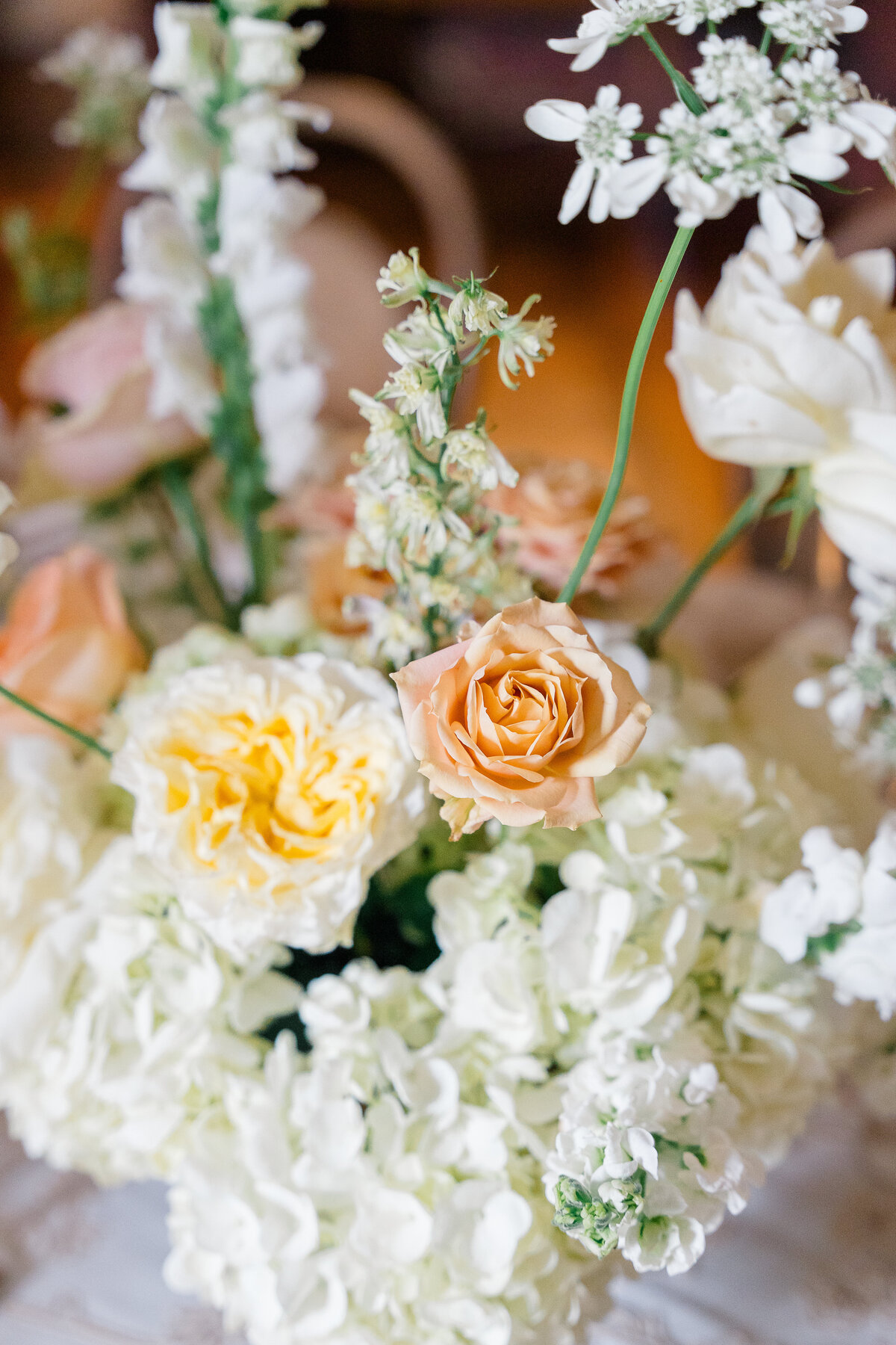 Peterloon-estate-Kristen-Thomison-Photography-23