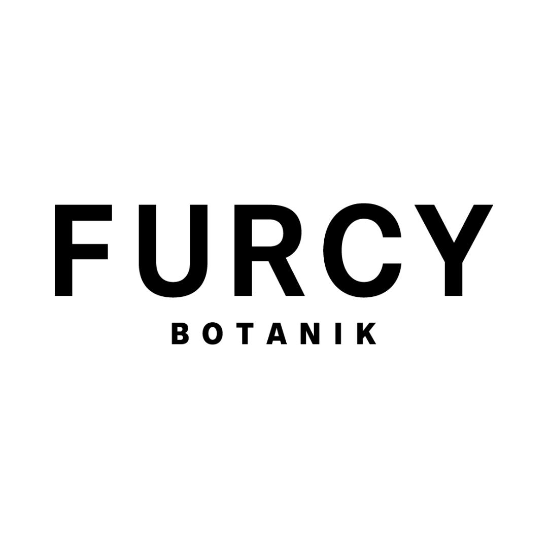 Furcy