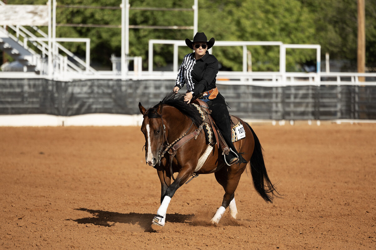 Southwest Quarter Horse Association Fall Futurity in Las Cruces New Mexico