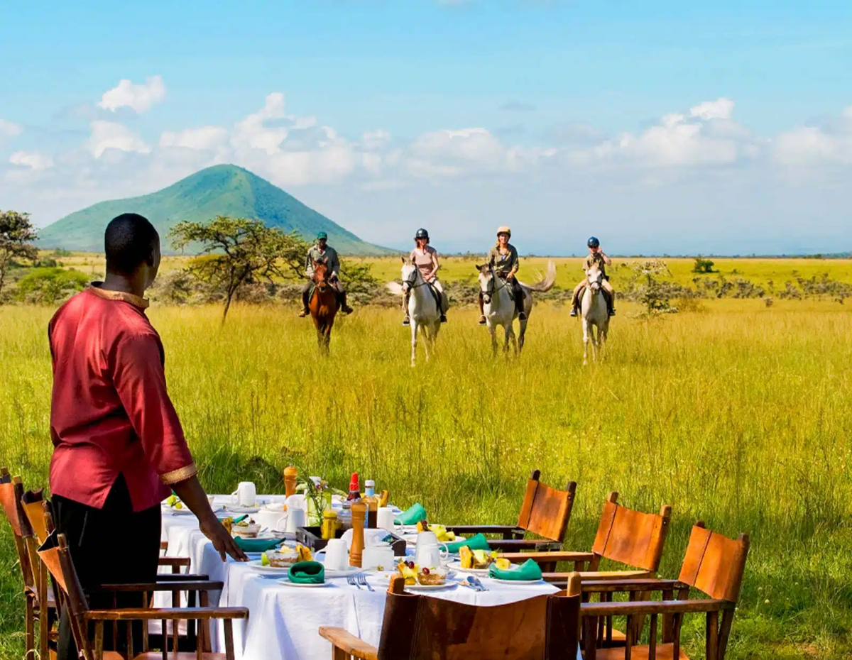 Safaris 1