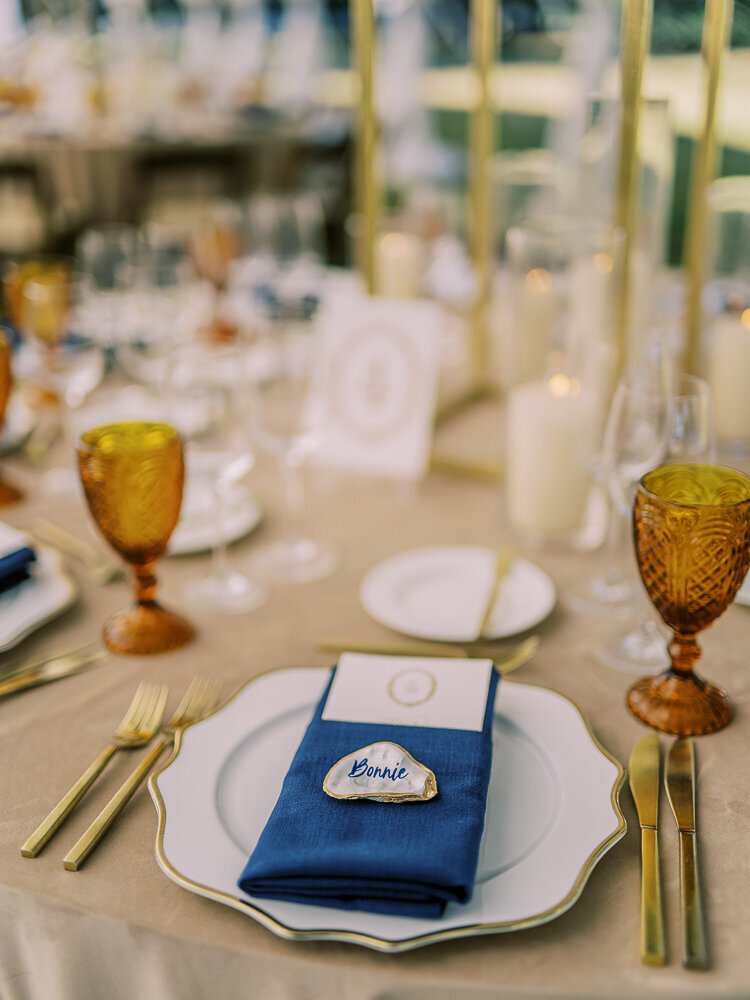 PALMETTO BLUFF WEDDING PHOTOS (489 of 733)