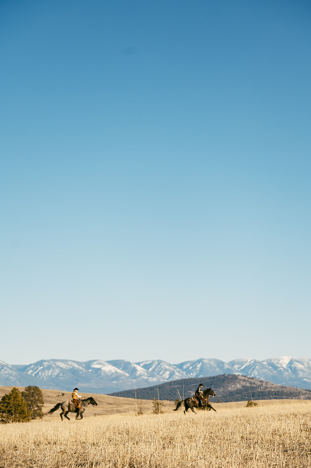 presley-gray-photo-montana-western-ranch-couples-photoshoot-1617