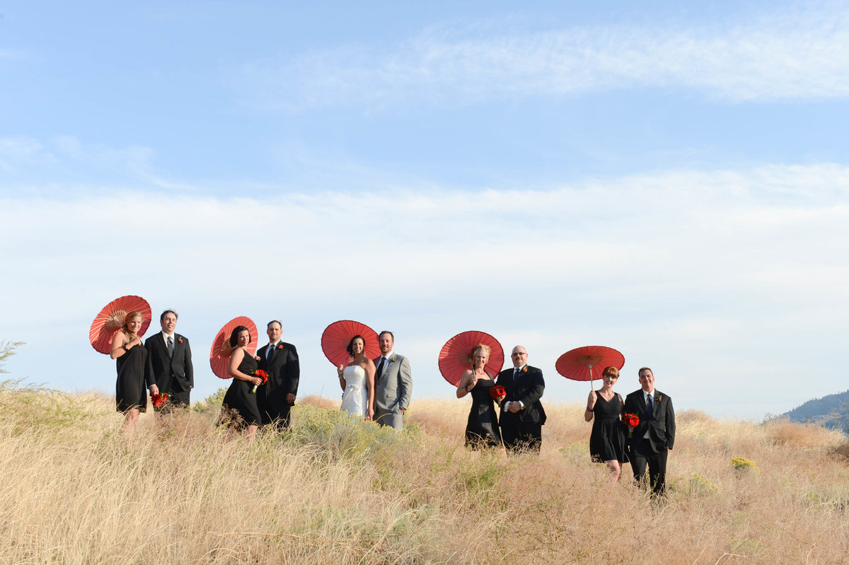 parksville-qualicum-wedding-photographer-suzanne le stage photography