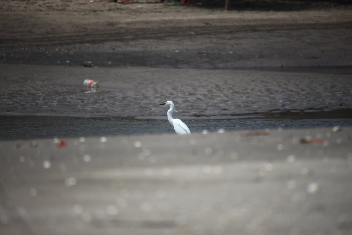 Wade_Muir_Photography_Places-edits-19