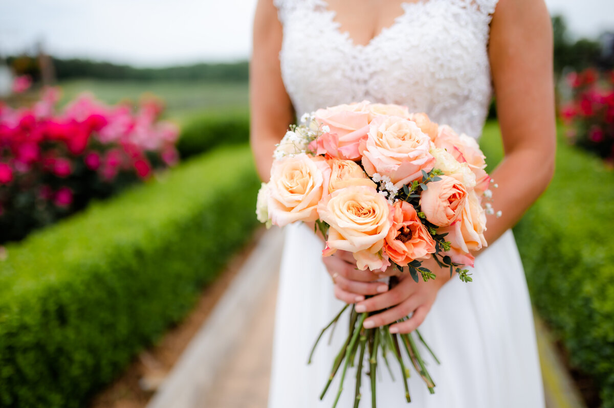 detail shot of brides coral rose wedding bouquet as she stands in a pink rose garden