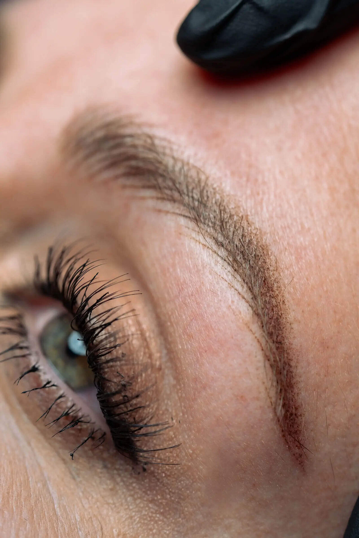 Beauttega C Hybrid Brow 1 (C+R)