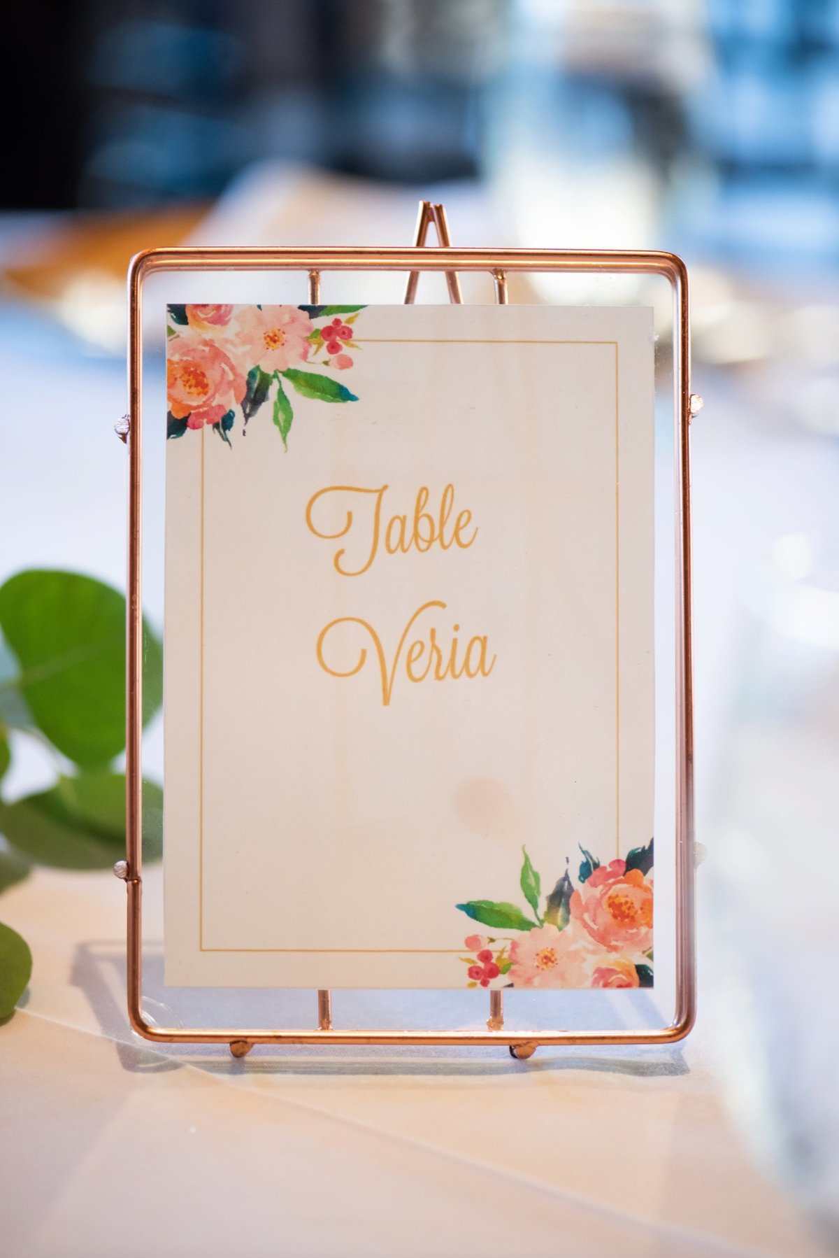 7.21.19.AthenaEliasPreviews-110_WEB