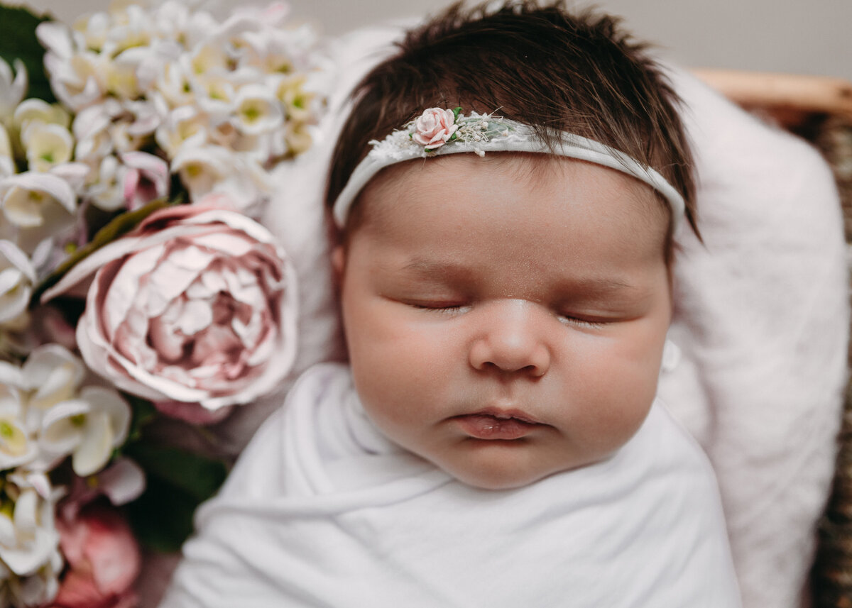 Hobart Baby Local Directory for Hobart Parents