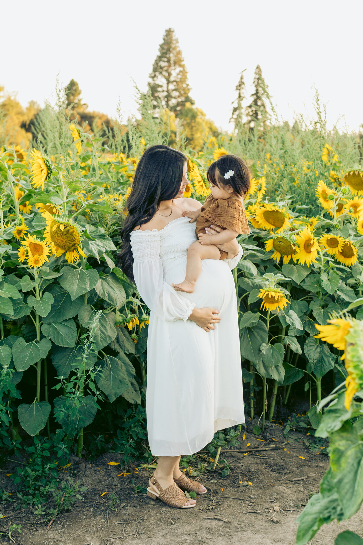 beaverton-hillsboro-union-garden-sunflower-photos-aniko-13