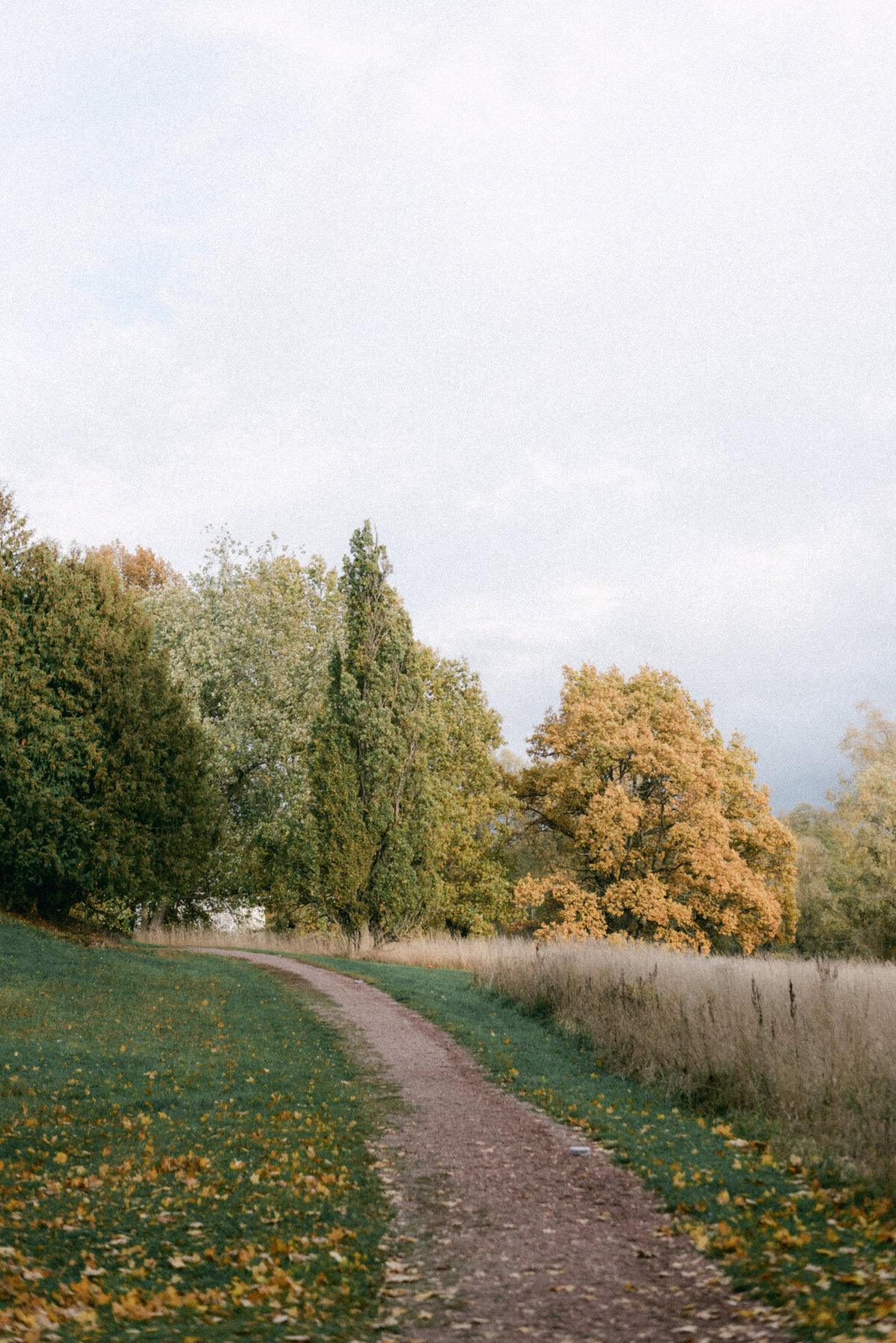 Autumn trees and colours in Oitbacka gård