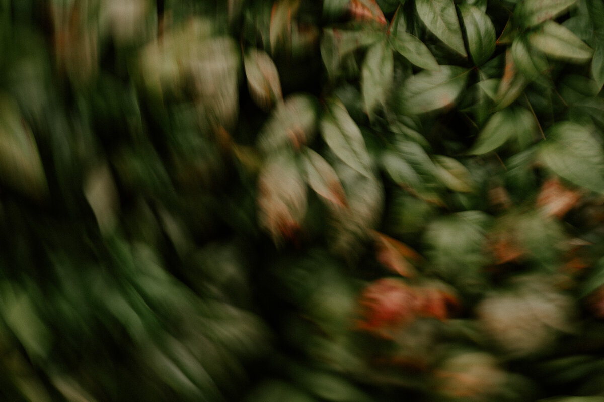 DSC09669