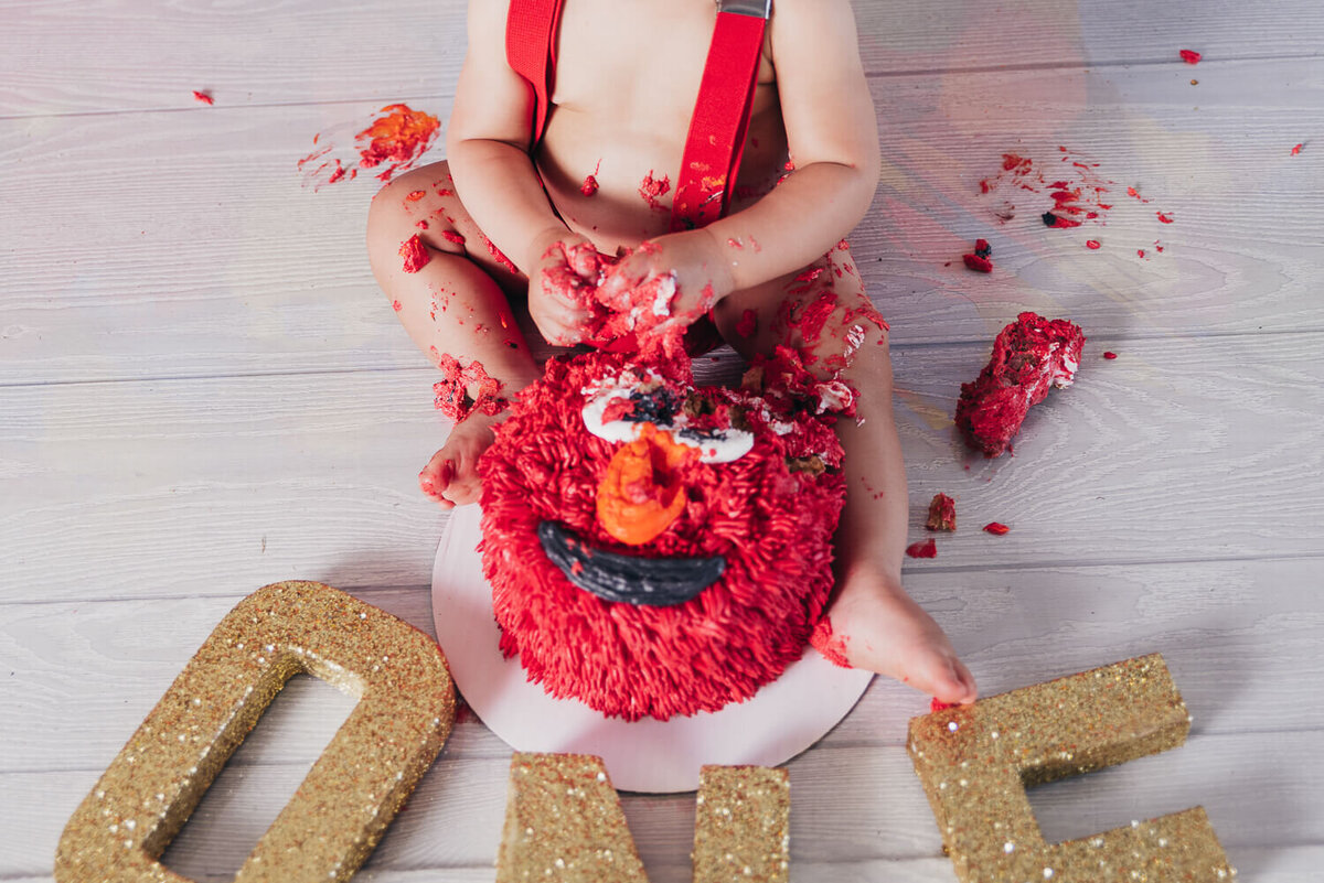 aalijah-Cleveland-cakesmash-Photography008