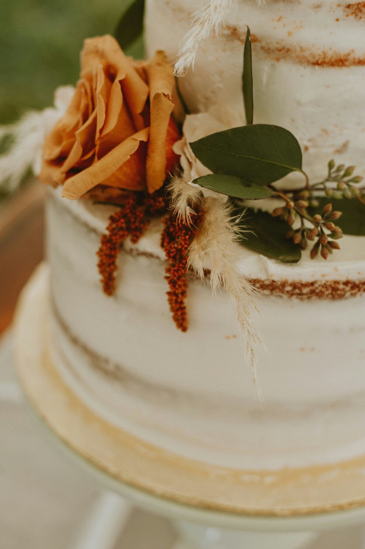 melody-zimmerman-RdnxmxnTvsk-unsplash