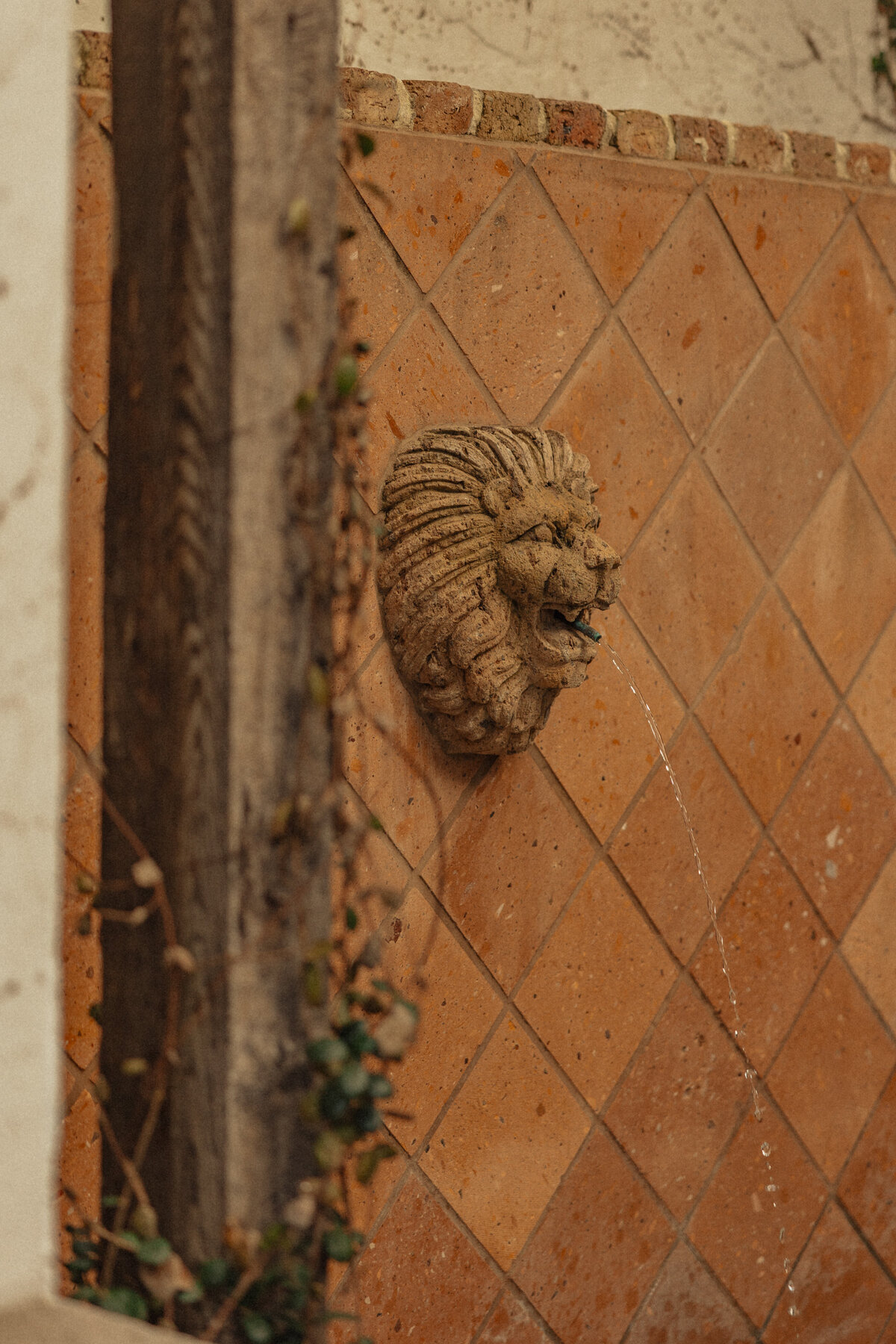 Weaver-PaytonHartsellPhotography-16