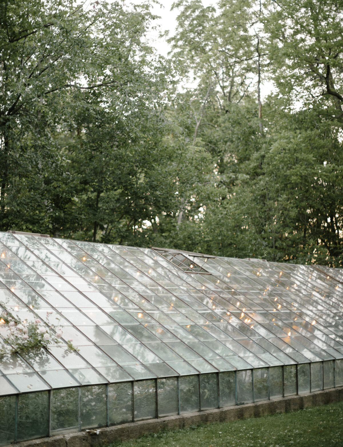 Glass greenhouse wedding venue in Michigan, Grand Rapids, Zeeland