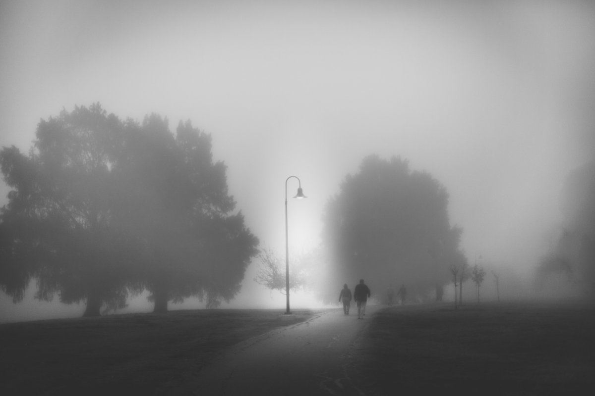 People walking at Woodlawn Lake on and early foggy morning