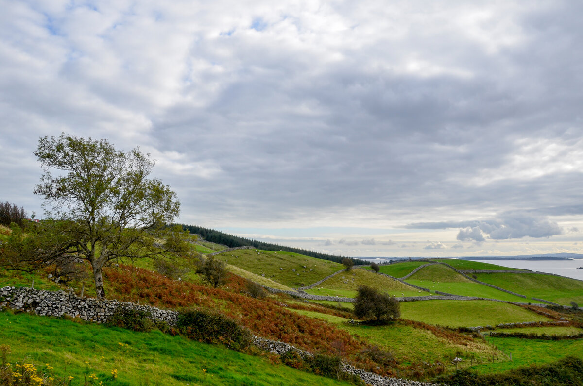 Ireland-005