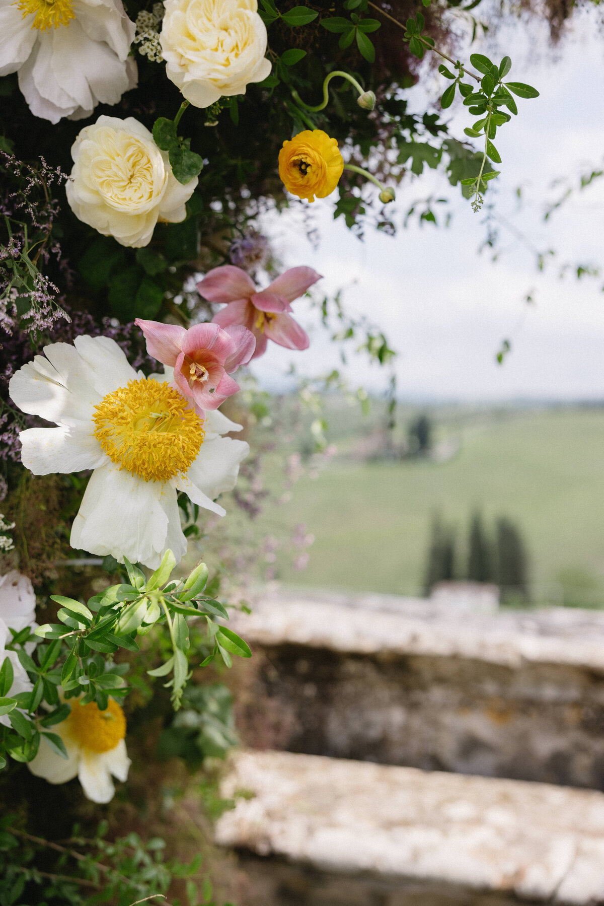 LizSchneiderPhoto-4421