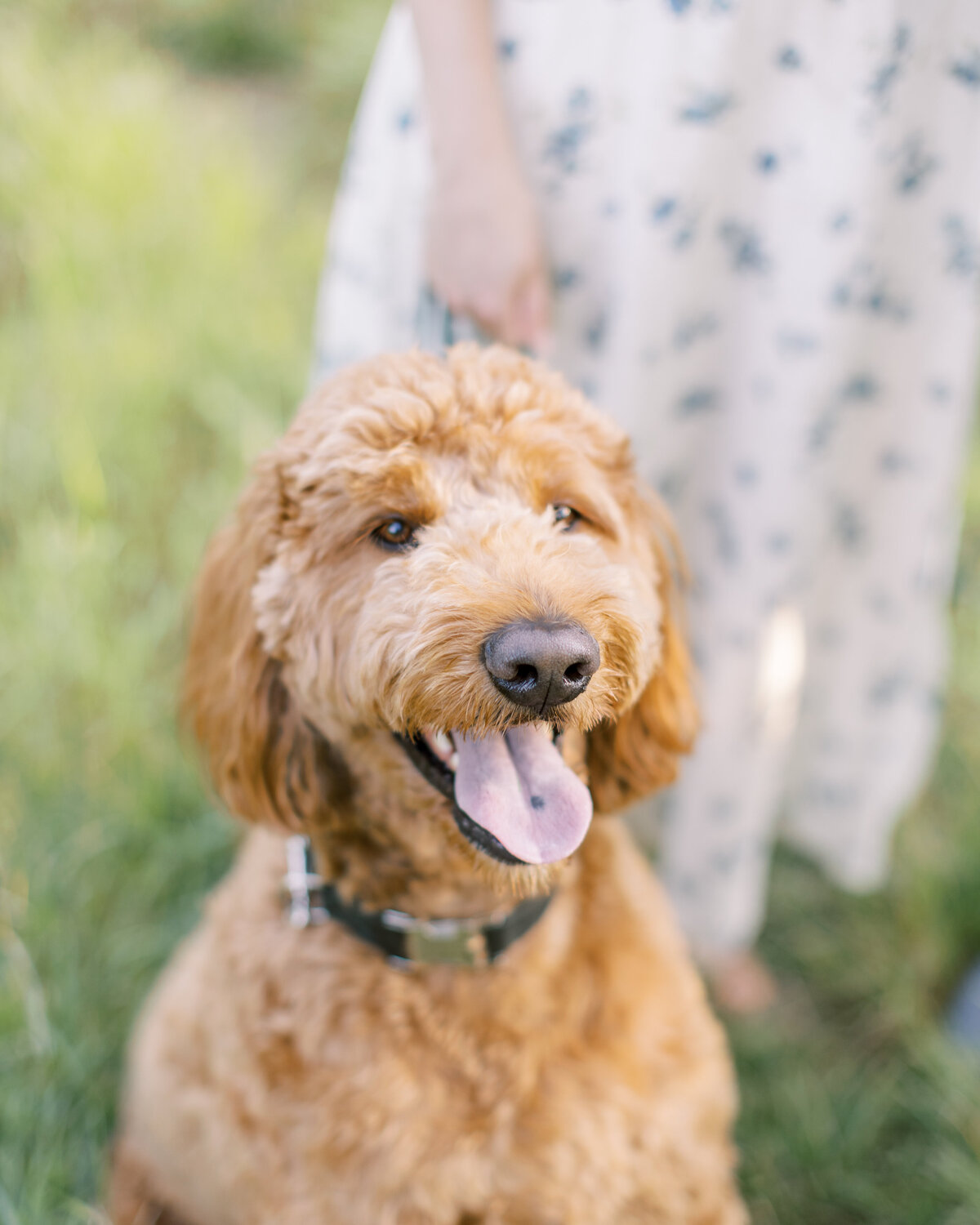 Family portrait session in a Philadelphia park - 12