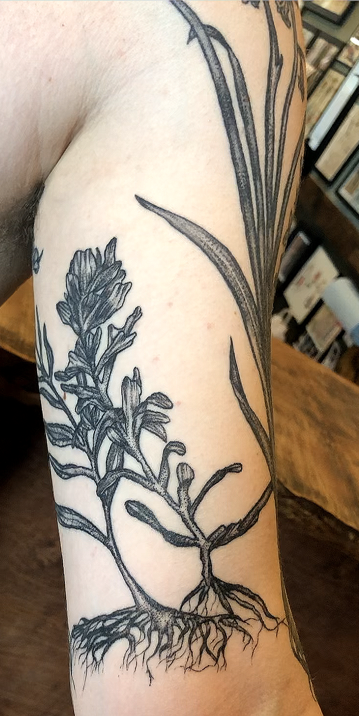 CCC_Botanical sleeve_4
