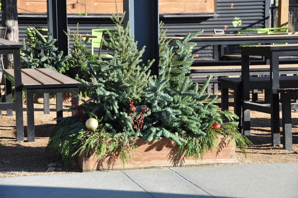Commercial landscape company project in Kansas City: seasonal flowers showcase