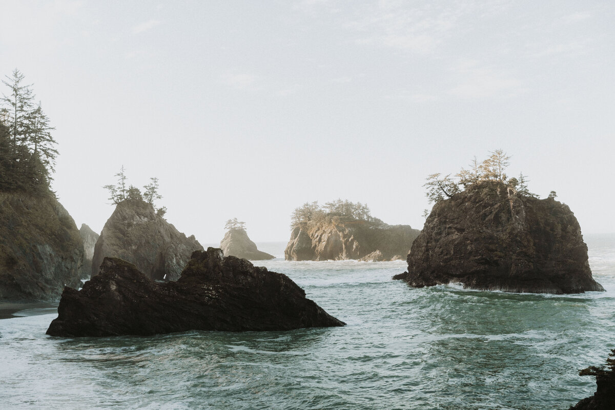 WithLoveFromCass_OregonProposalPhotographer_SecretBeach-10