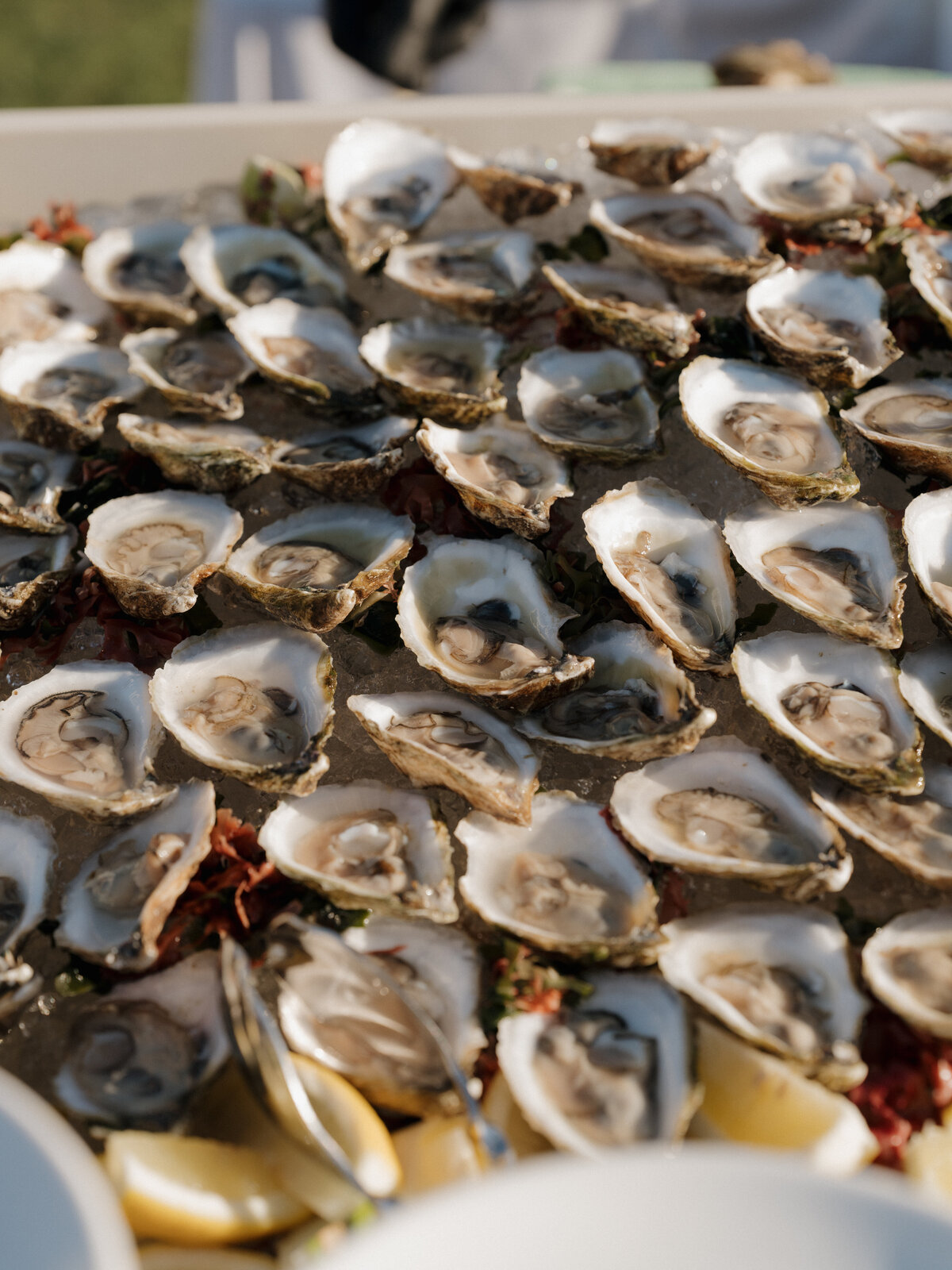 250830JENMAT_adv0166