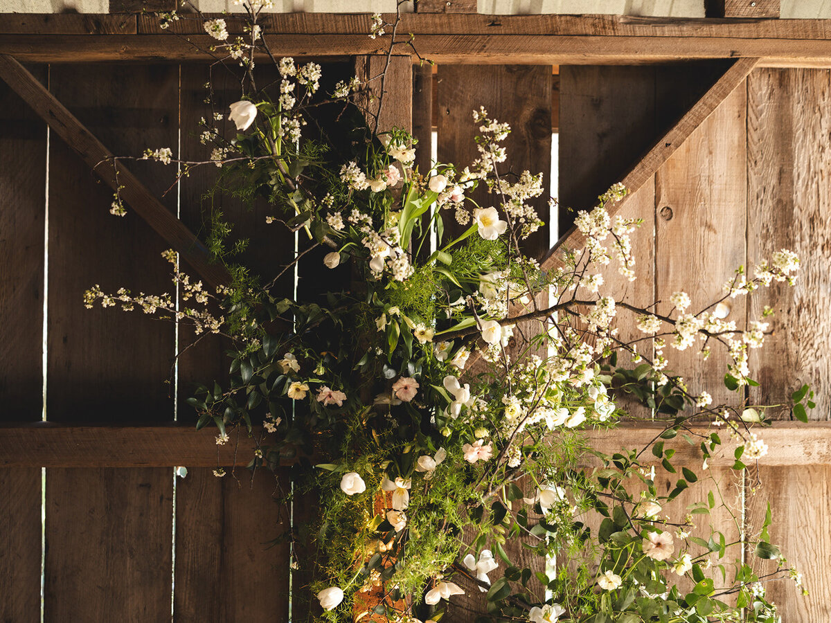 Haven Tomales Spring Flowering Branches on Barn Wall