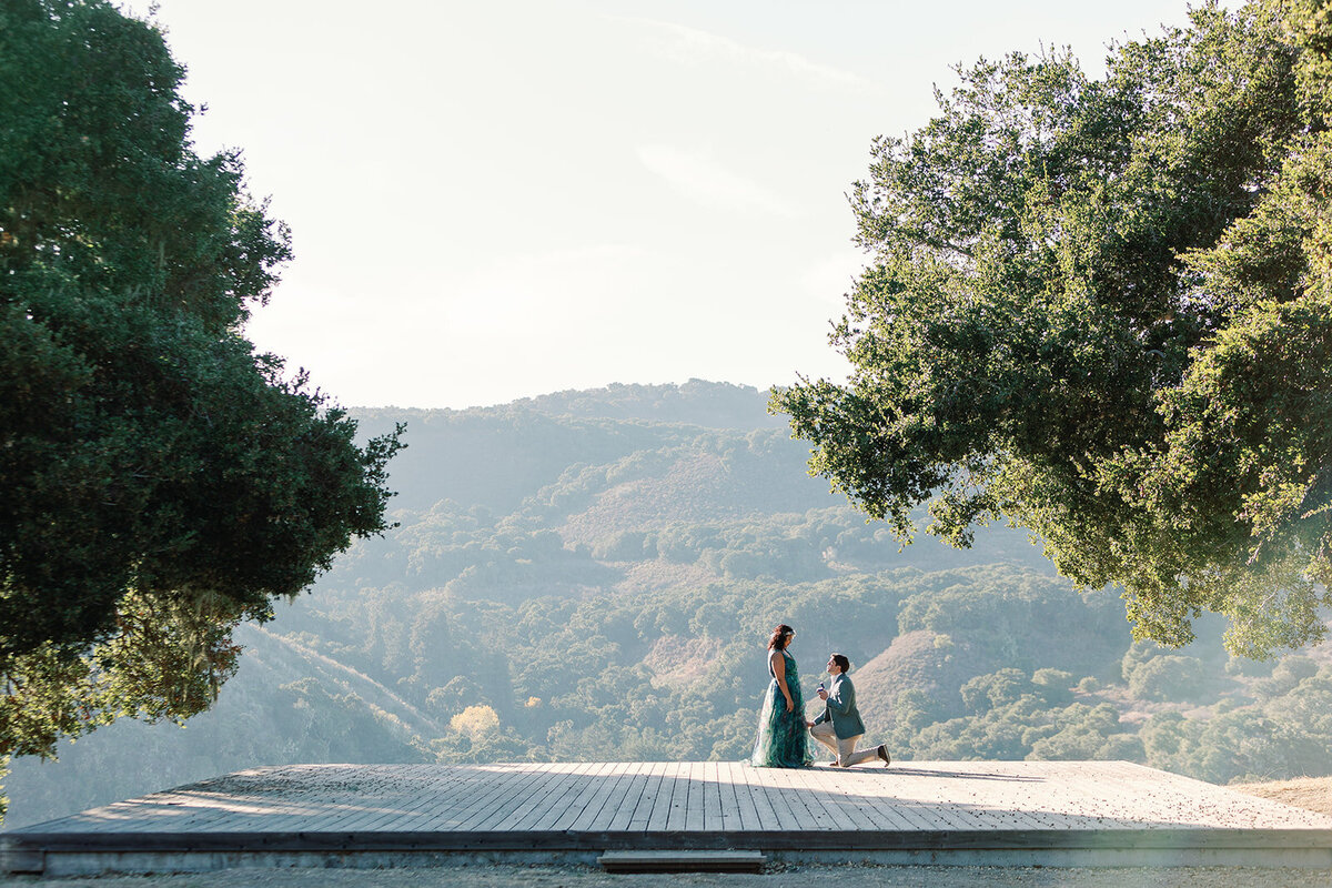 ©2024-ags-photo-art-Spencer&Sonya-Proposal-107