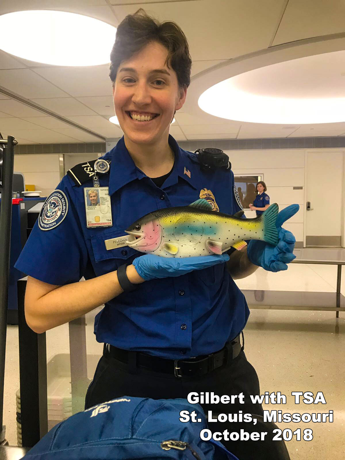 GilbertTSA