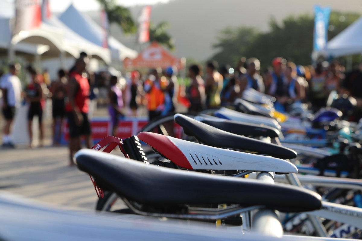 Close up of many bicycle seats in a row. Photo by Ross Photography, Trinidad, W.I..