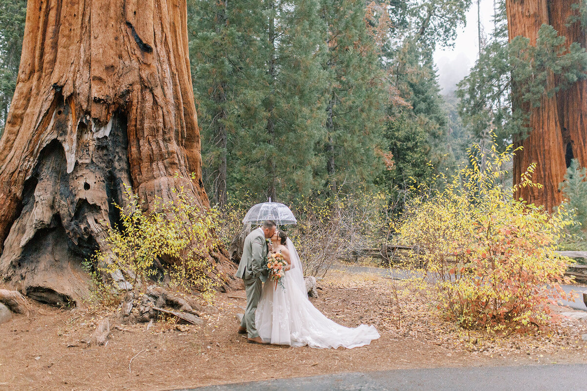 Kimberly and Keith Elopement in Sequoia-420_websize