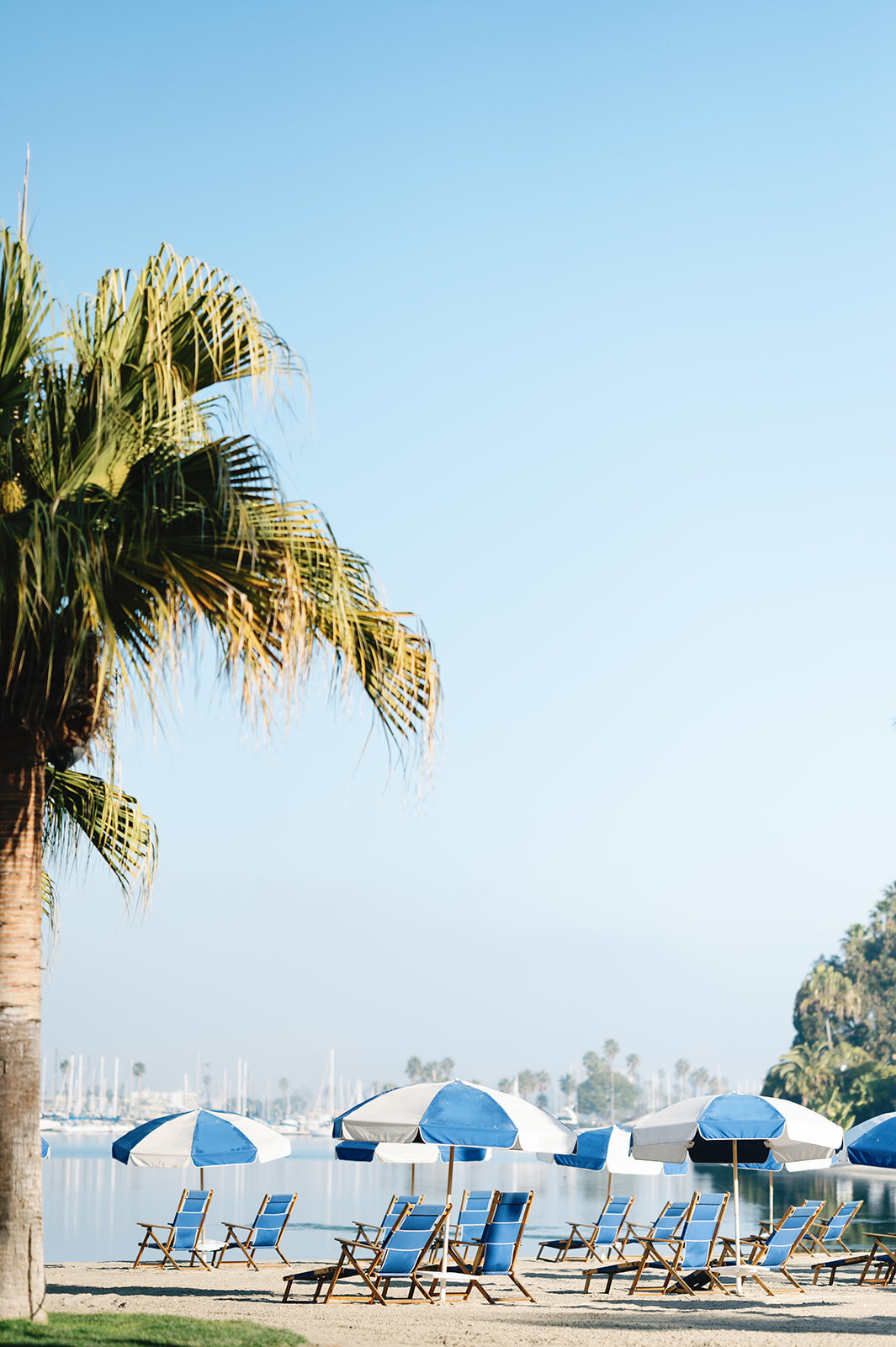 Photography_Hybrid_Wedding_Photos_2025-0150