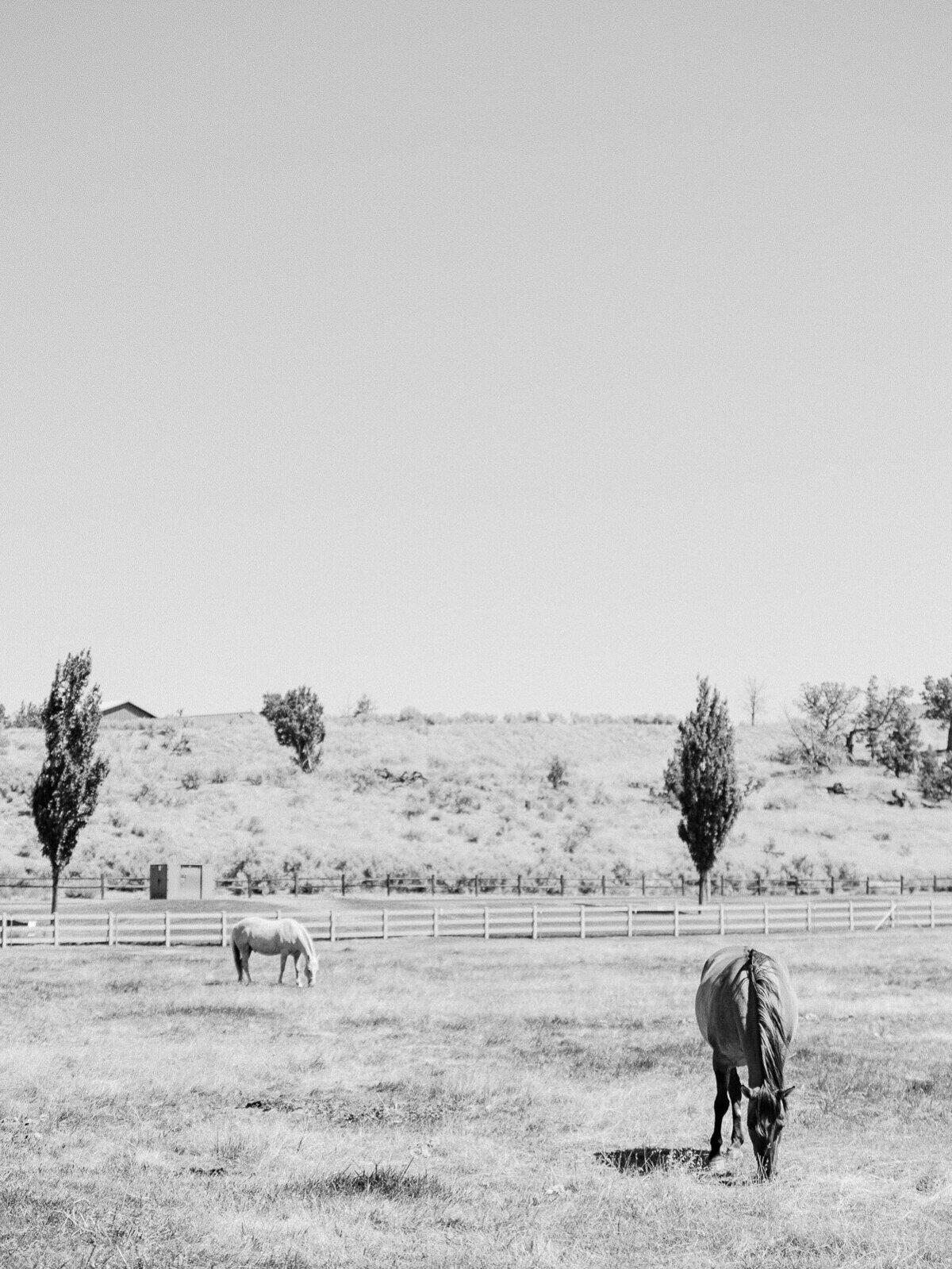brasada ranch wedding-37