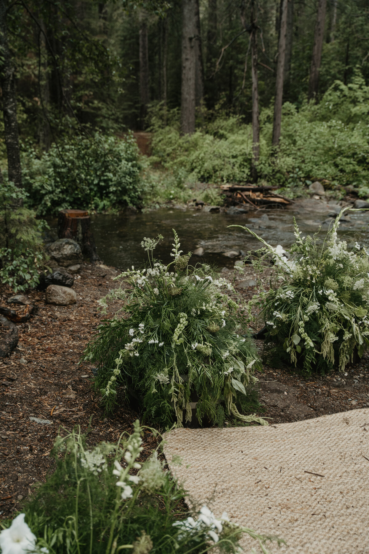 MountainTimePhotography-882