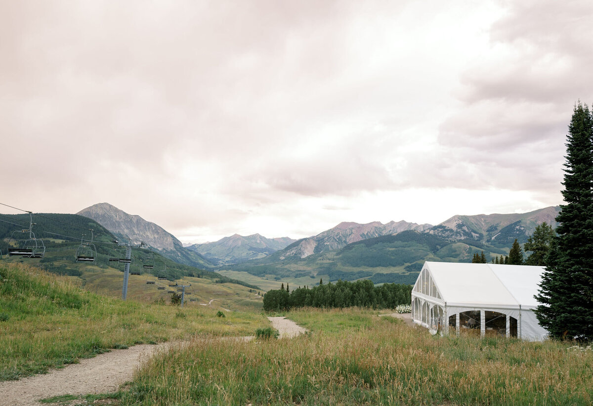 ReaganWrightPhotography-Colleen&HoldenWeddingReceptionn-1013401