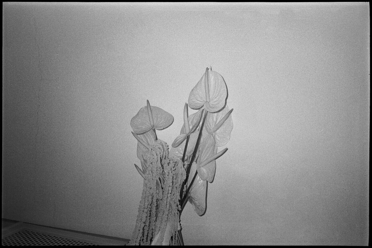 Elizabeth_Connor_Film_019