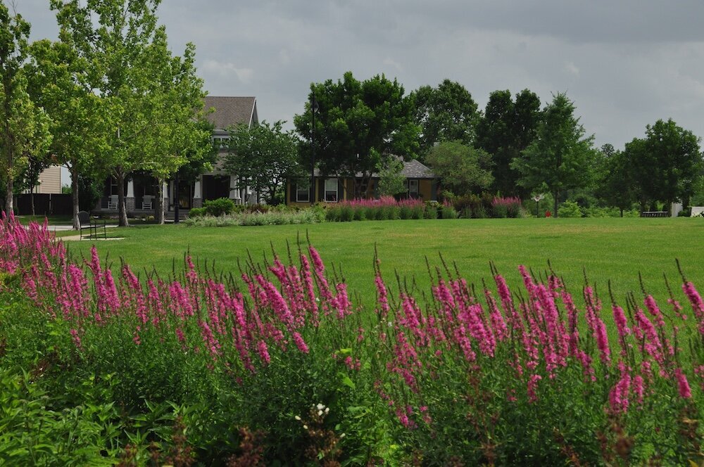 Commercial landscape company project in Kansas City