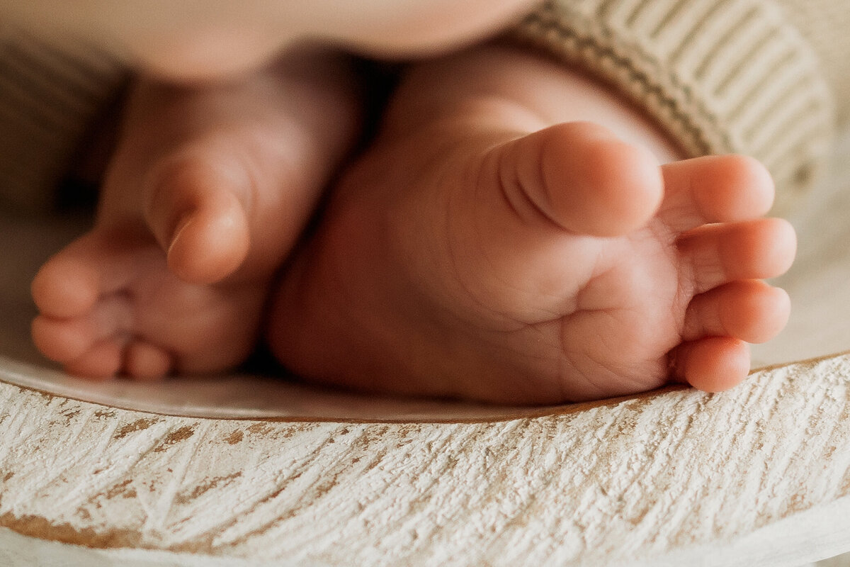 Detail close up photo of six month old baby toes for a milestone session