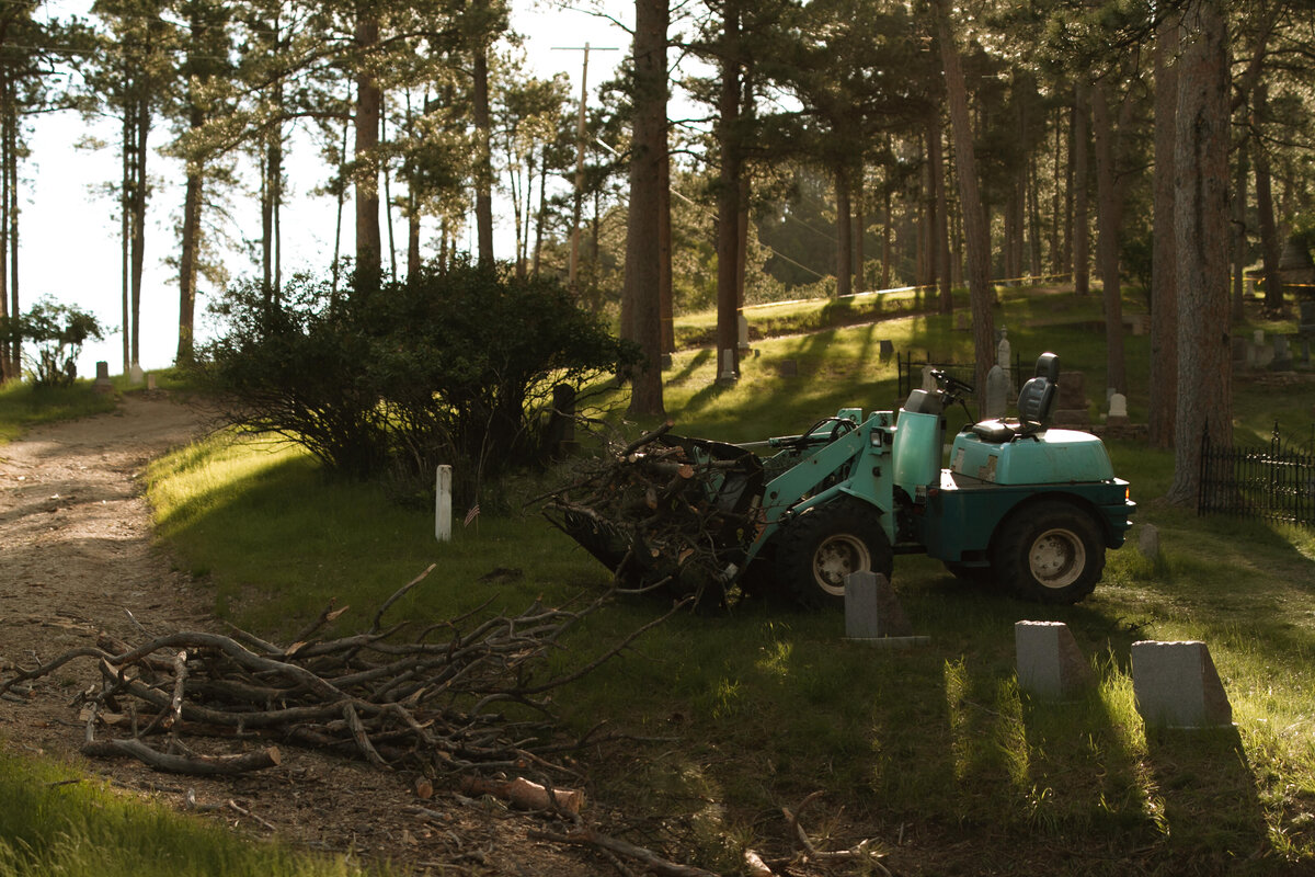 black-hills-tree-service-south-dakota