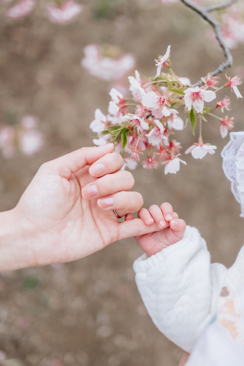 yokohama-kamakura-newborn-photographer-g-114