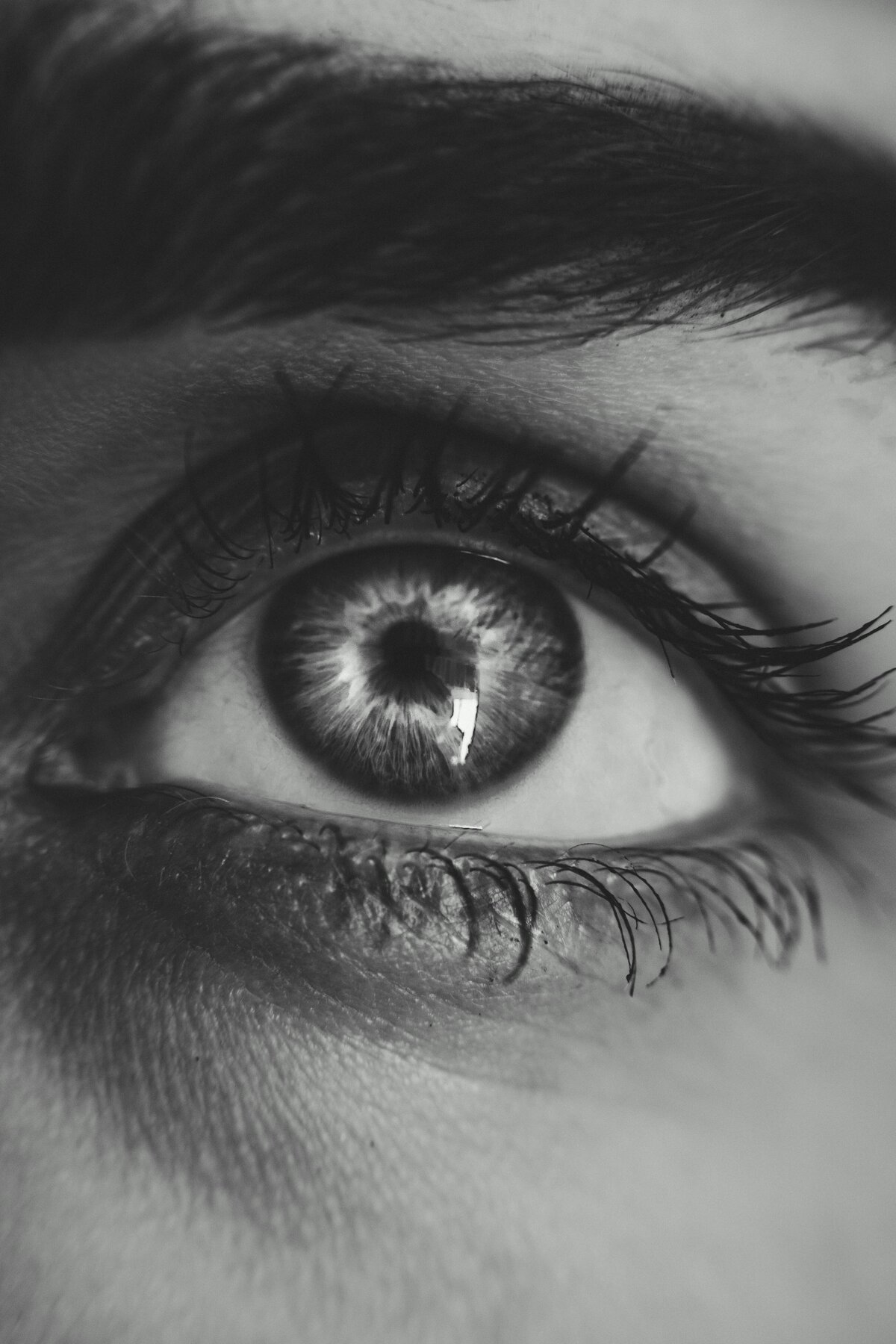 pexels-fotios-photos-2035214