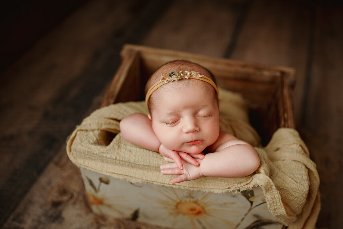 NWA newborn photographer, newborn portraits NW Arkansas