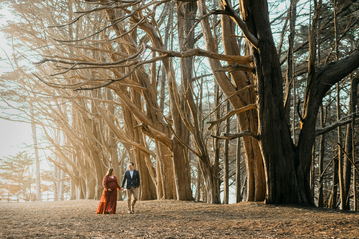 Half-Moon-Bay-Maternity-Session